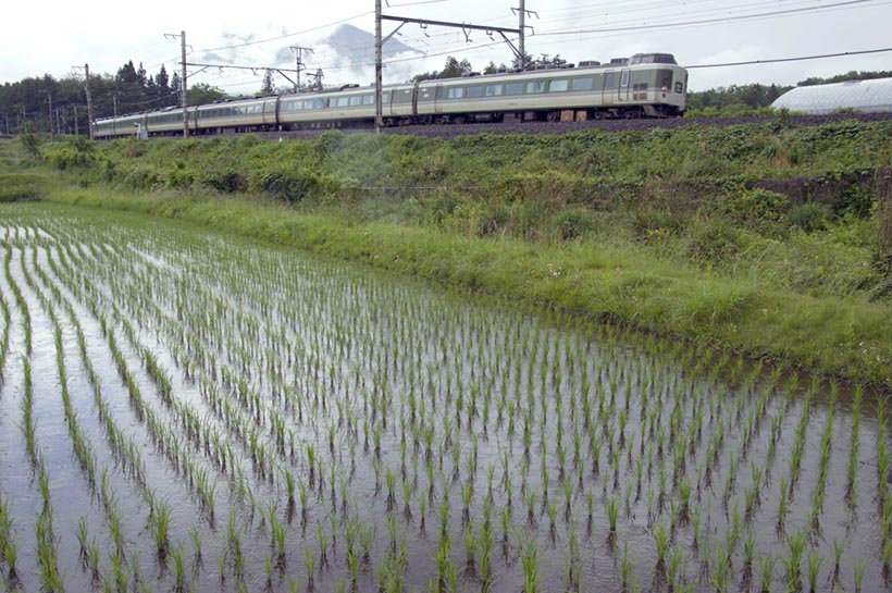 田植えあと