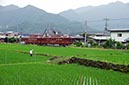 富士山へ向かう