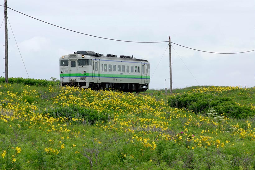 原生花園