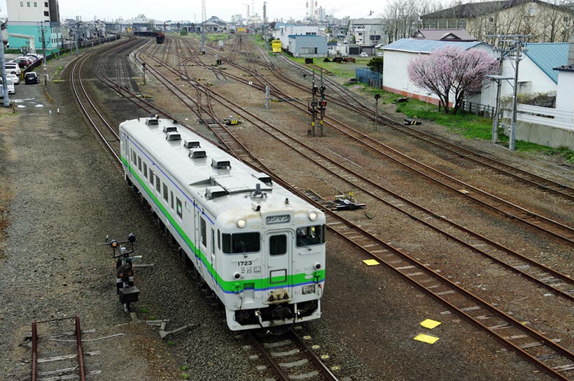 車両基地入り口の桜