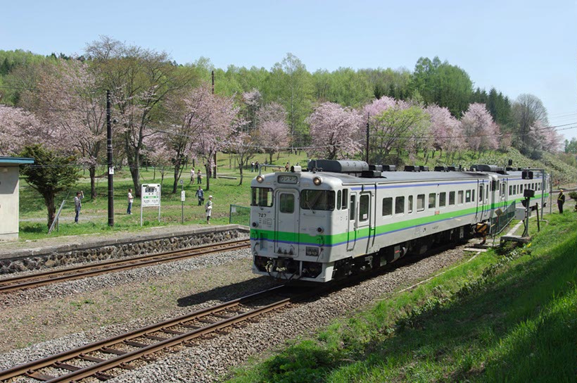 一目千本桜