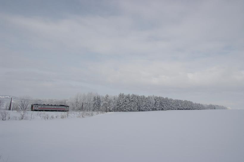 防雪林