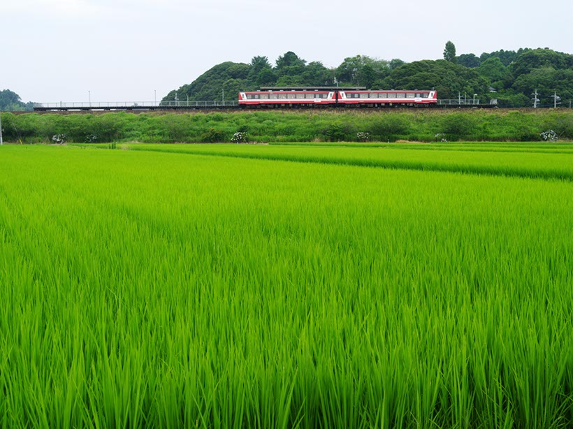 築堤の駅