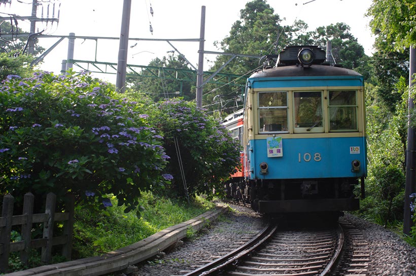 あじさい電車2