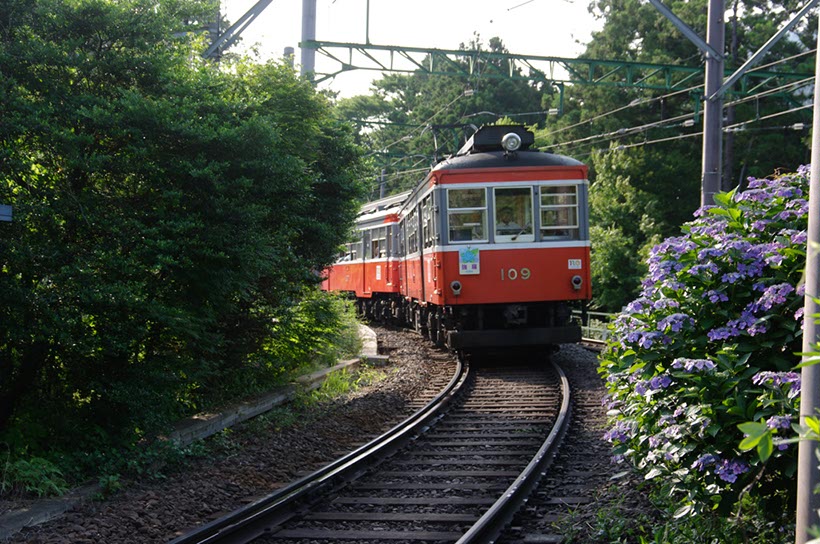 あじさい電車1