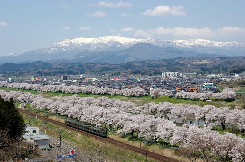 白石川堤と蔵王