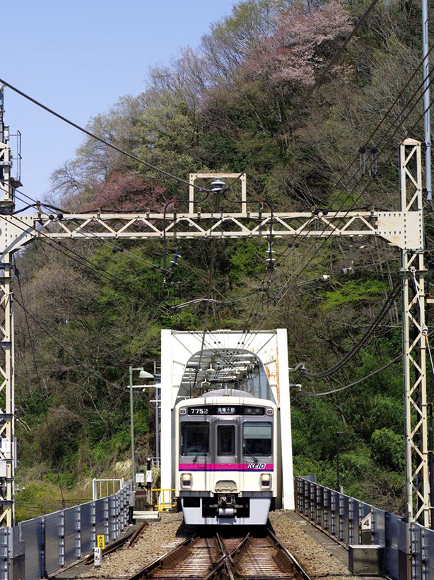 ヤマザクラ咲く終着駅