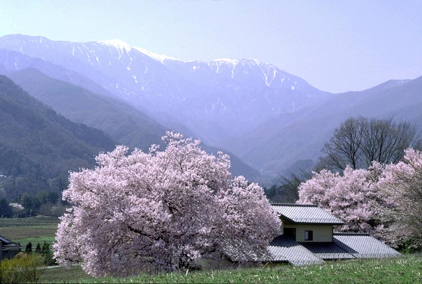 駒ヶ岳(長野県)