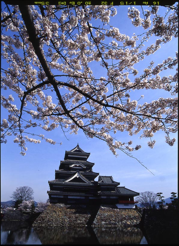 松本城(長野県)