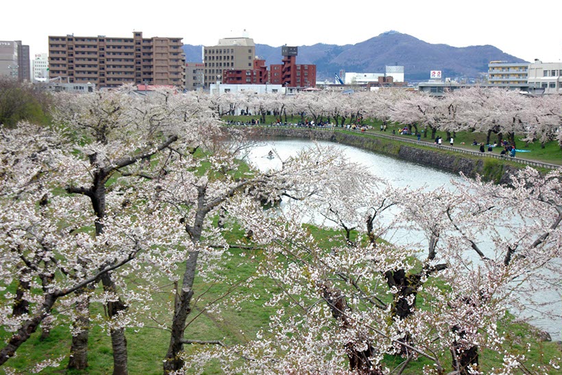 五稜郭と函館山