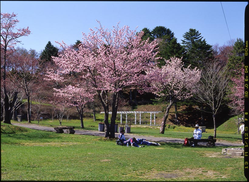 厚岸の子野日公園