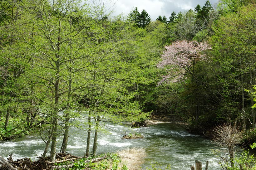 阿寒川