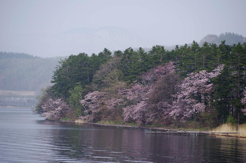 洞爺湖と昭和新山