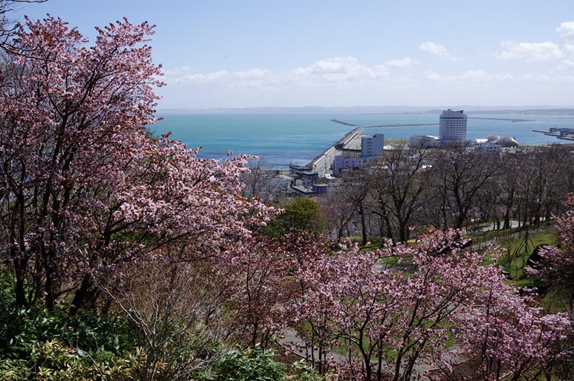 稚内公園から稚内市内を臨む