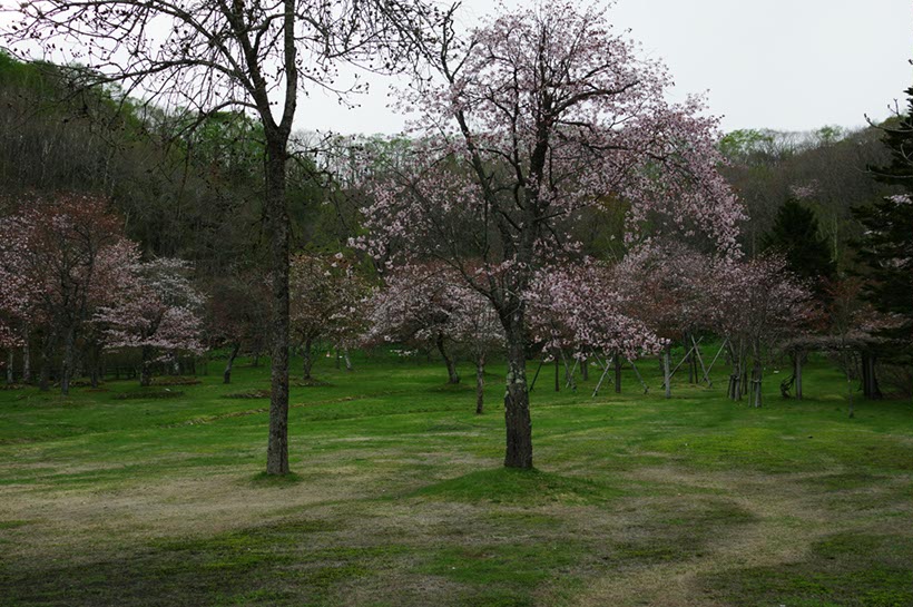 別保公園