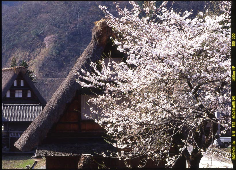 世界遺産 五箇山菅沼集落(富山県)