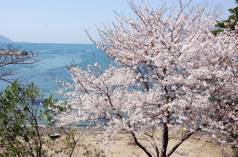 若狭湾を背に(福井県)