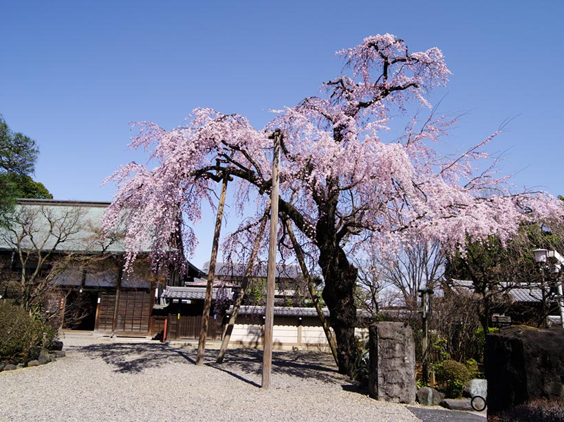 川越喜多院(埼玉県)