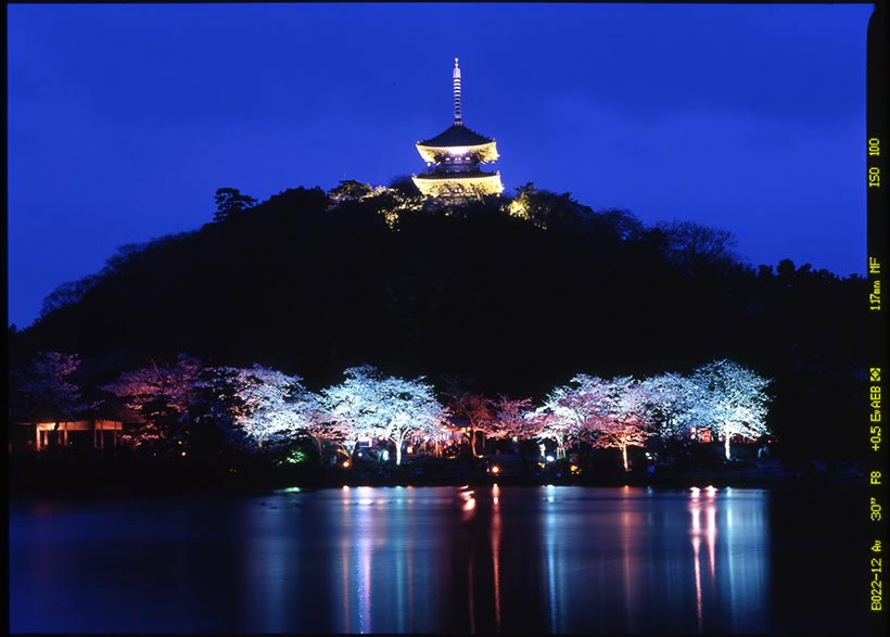 三渓園(神奈川県)