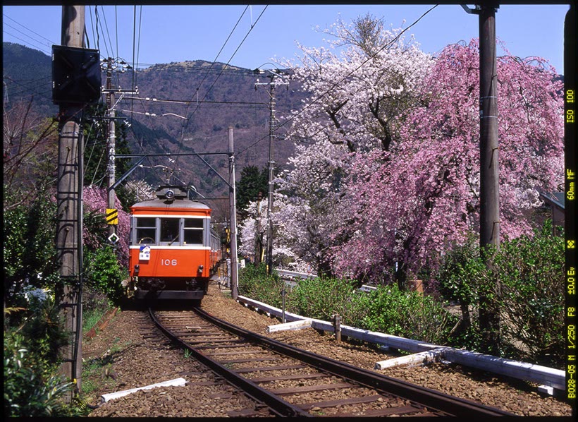 箱根登山鉄道(神奈川県)