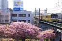三浦海岸駅(神奈川県)