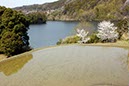 亀山湖(千葉県)