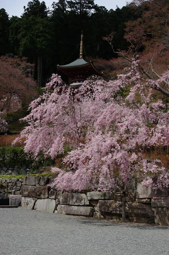 勝尾寺三重塔(大阪府)