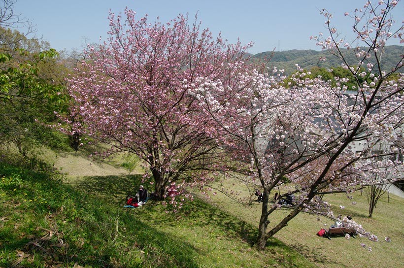 大阪府立大学公園