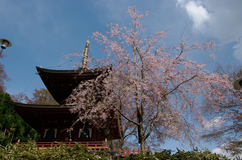 勝尾寺尖塔(大塚府)