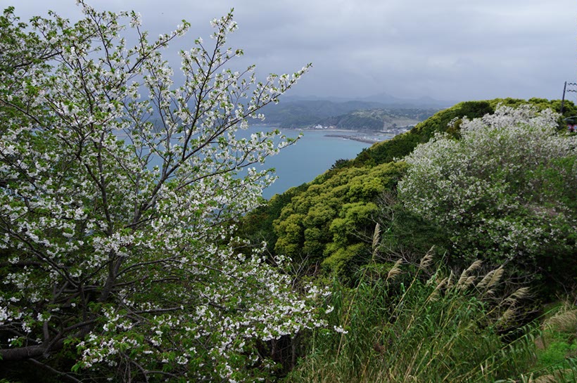 串本市を臨む(和歌山県)