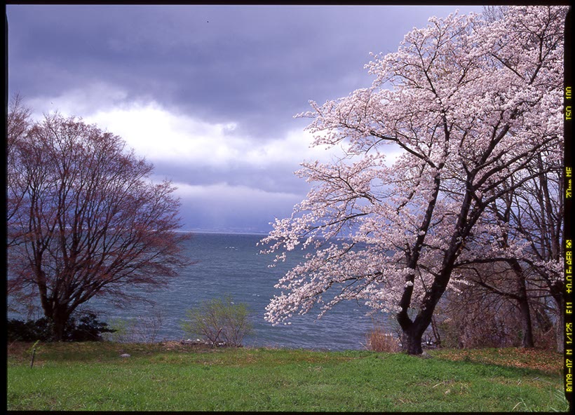 水ヶ浜(滋賀県)