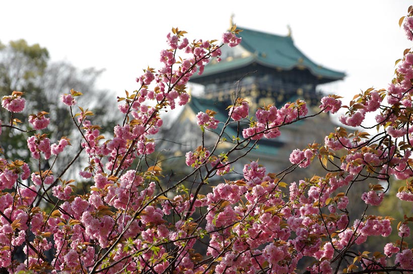 大阪城公園