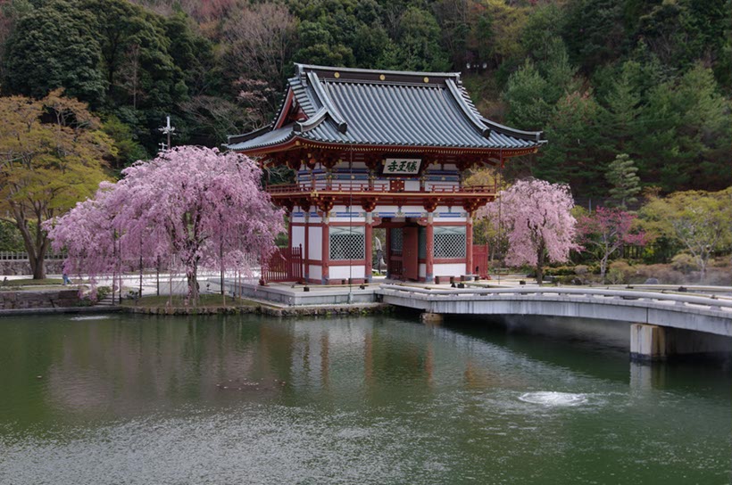 勝尾寺山門と池(大阪府)