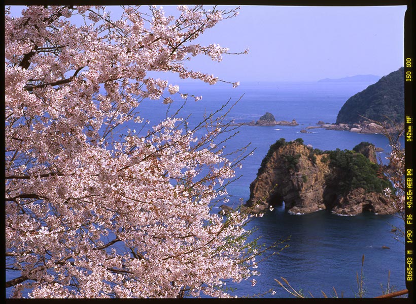 ぞうの岩(熊本県･天草)