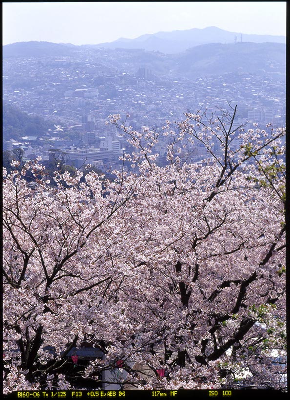 立山公園(長崎県)