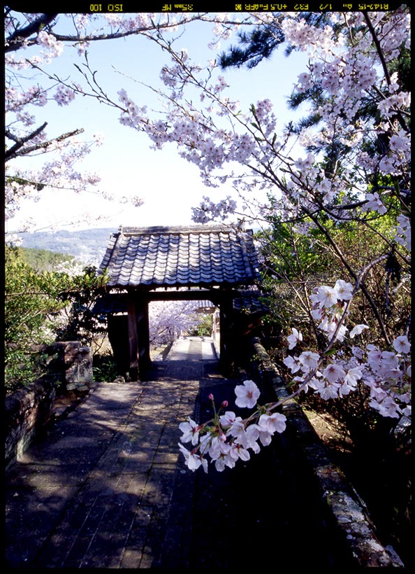 口之津の神社(長崎県)