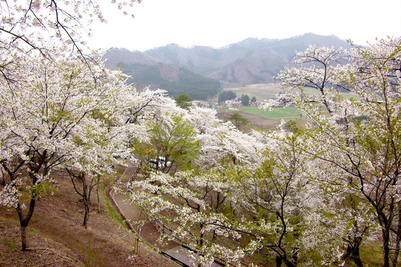 八乙女山(秋田県)