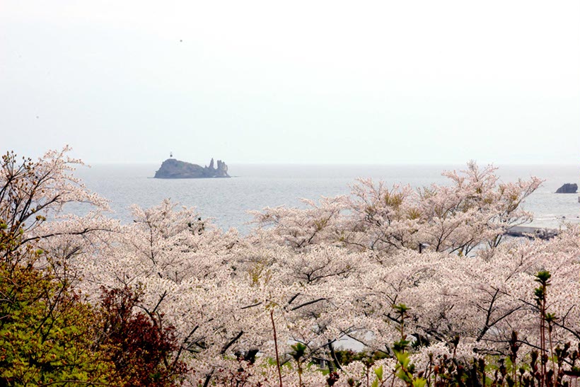 鯛岩を臨む(青森県)