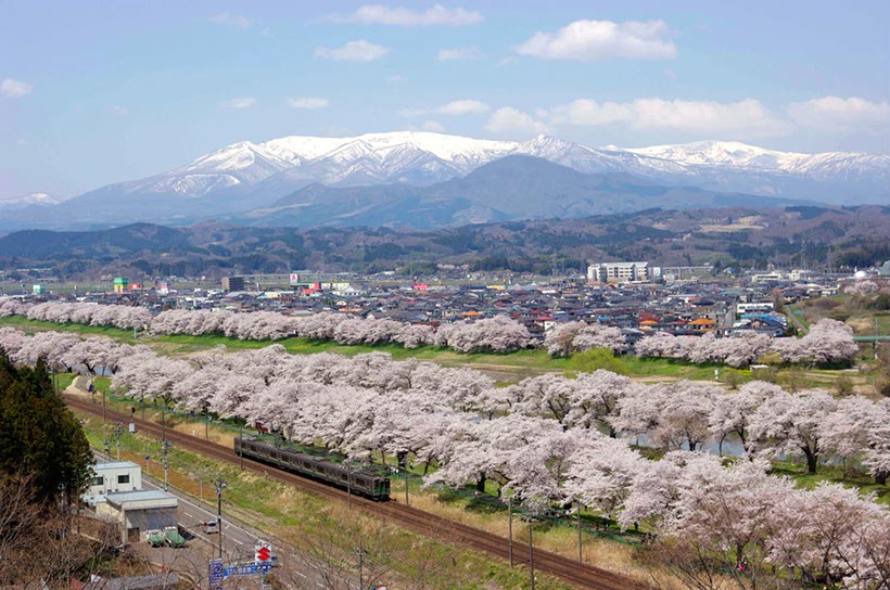 白石川堤と蔵王(宮城県)