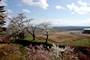 猪苗代城跡からの遠望(福島県)