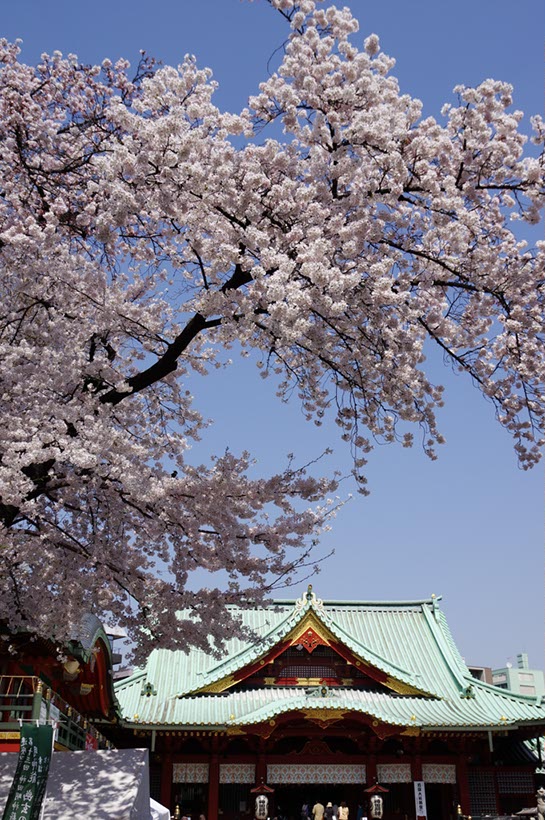 神田明神本殿