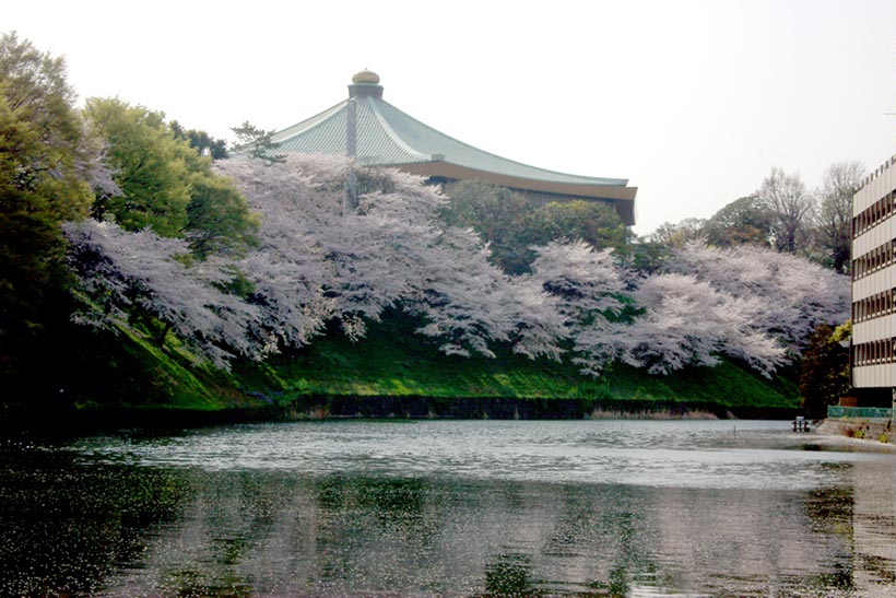 武道館と内堀