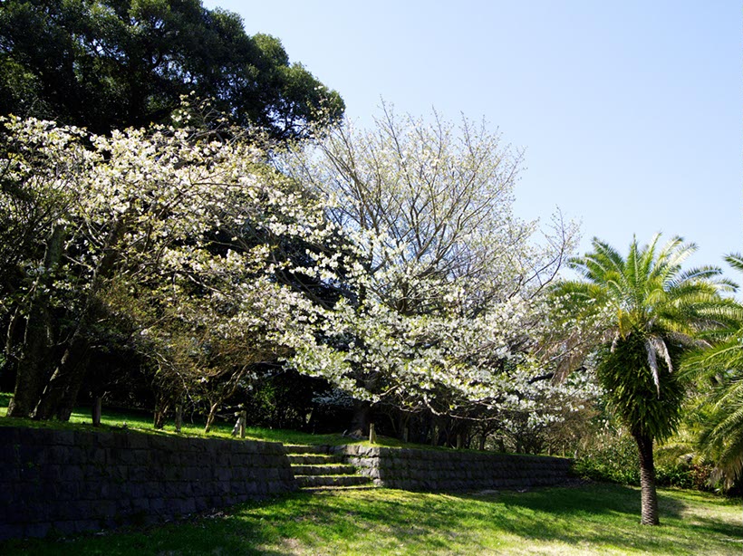 大島公園