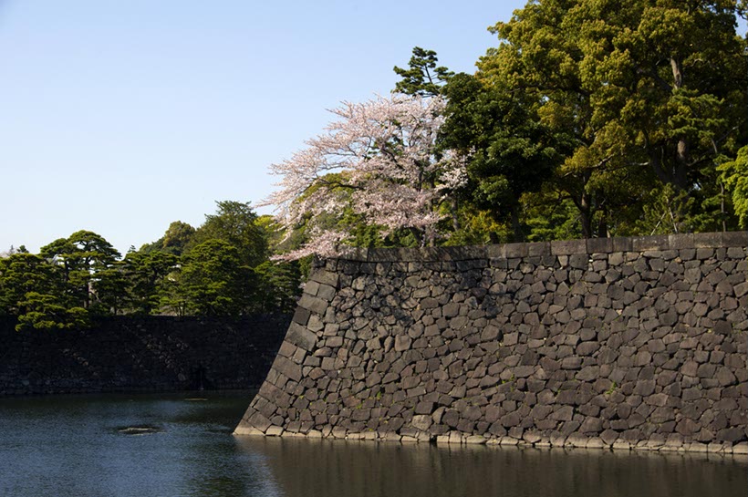 皇居乾通りから三の丸