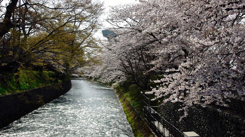 玉川上水源流部