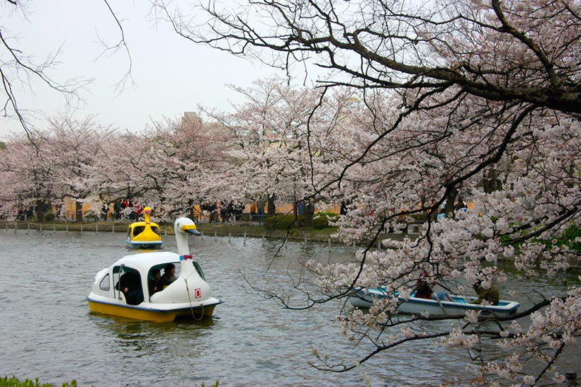 不忍池のボート